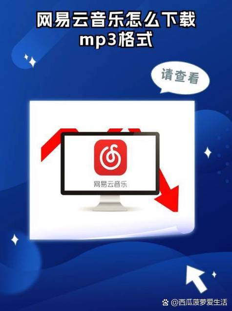 网易云精简版