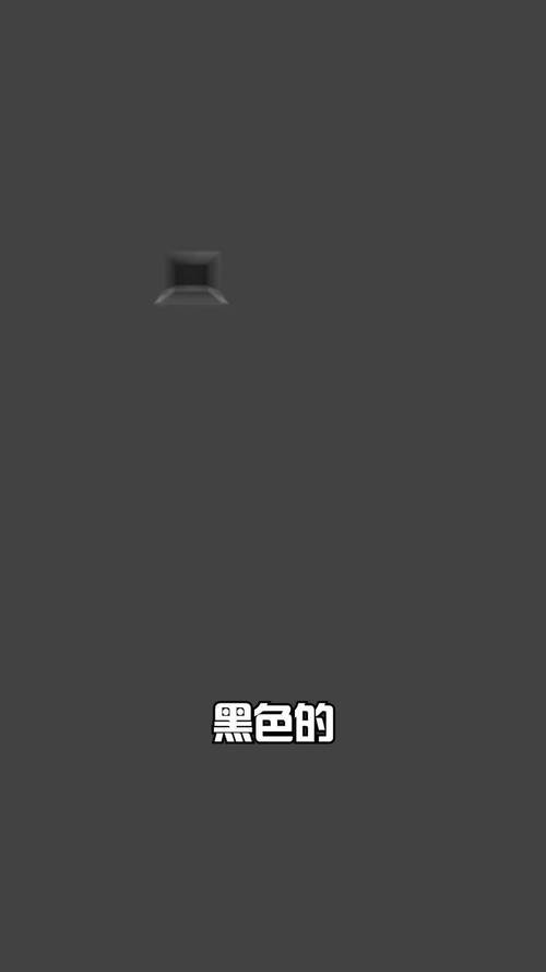 黑上极速版2023