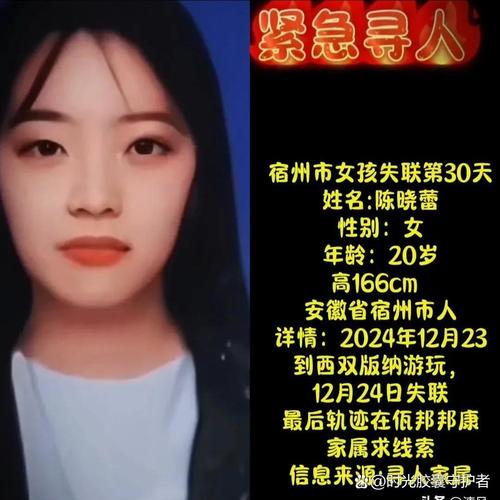失踪少女无限次数版