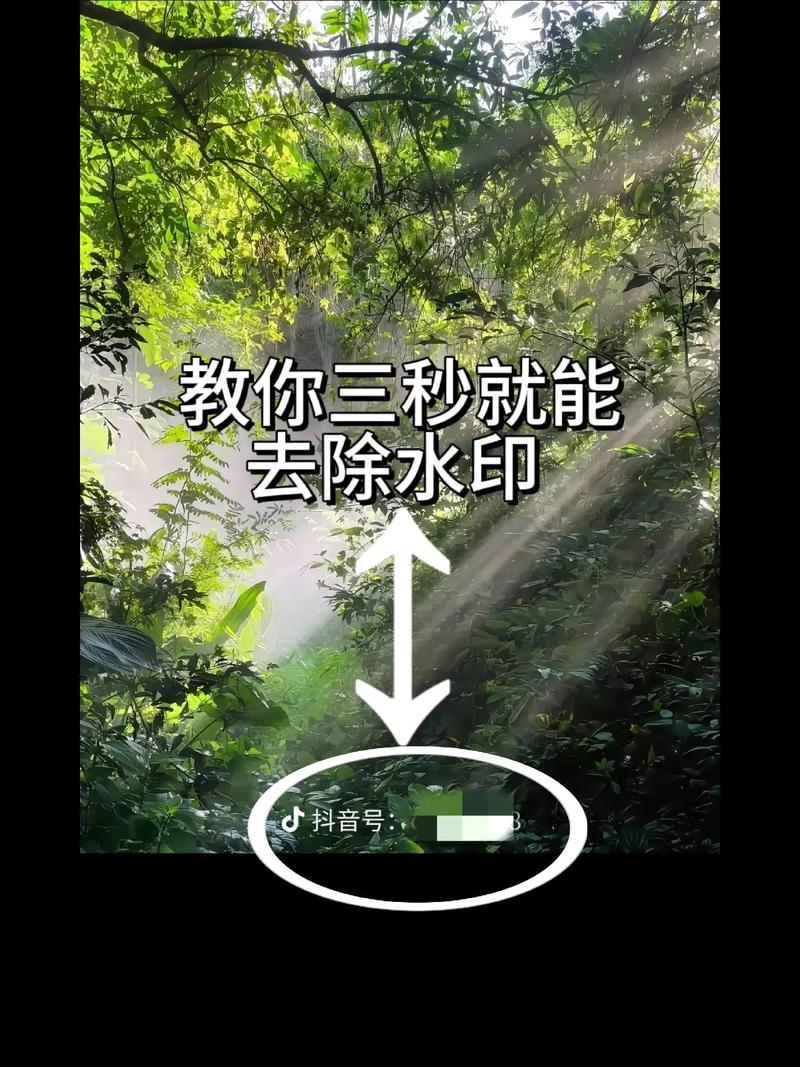 水印云破解版下载