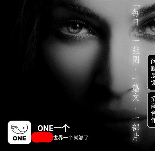 rarr成人的世界一个就够致敬韩寒one新春版