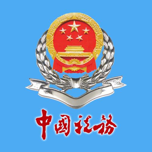 山东省电子税务局app下载