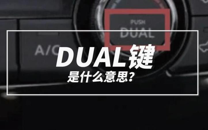 dual导剪版
