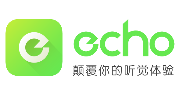 echo回声