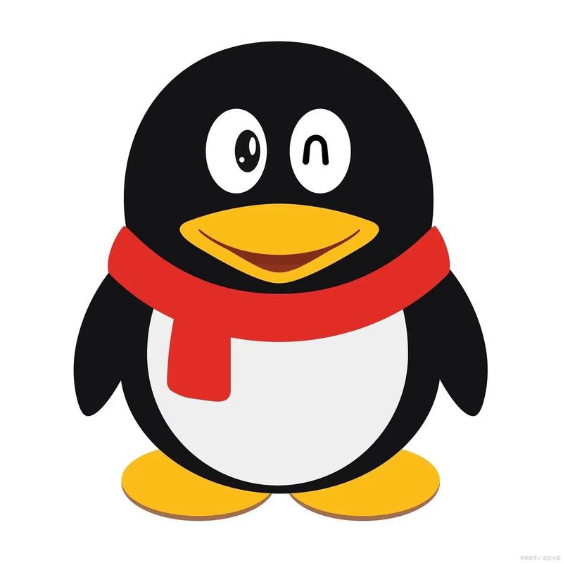 qq2021年