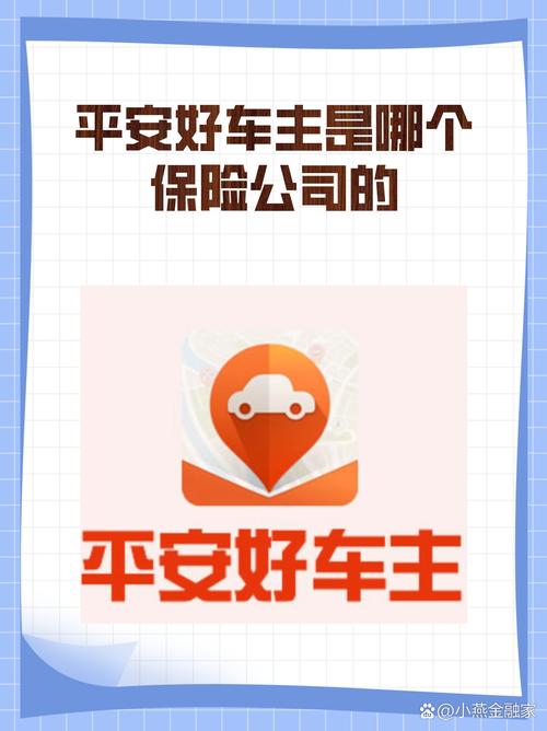 平安好车主防闪退