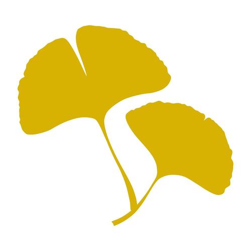 银杏视频最新版汉化免费下载