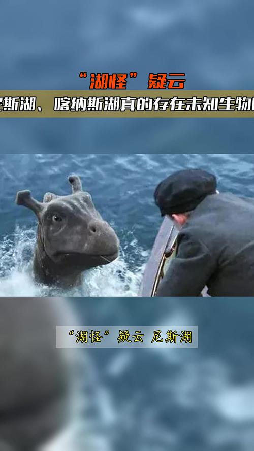 湖怪