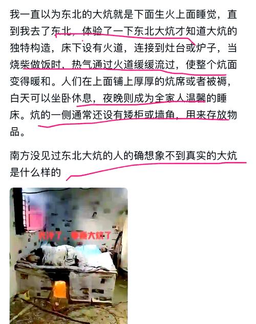 小说东北大炕全集