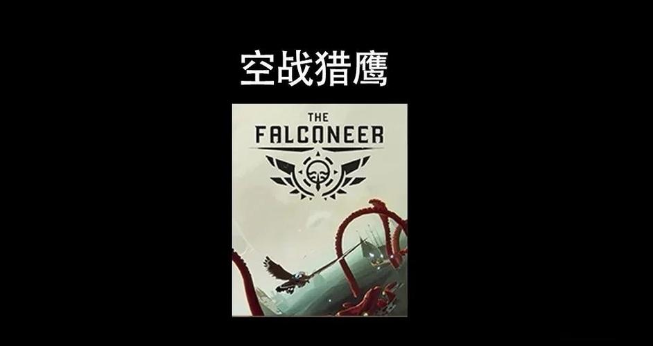 空战猎鹰