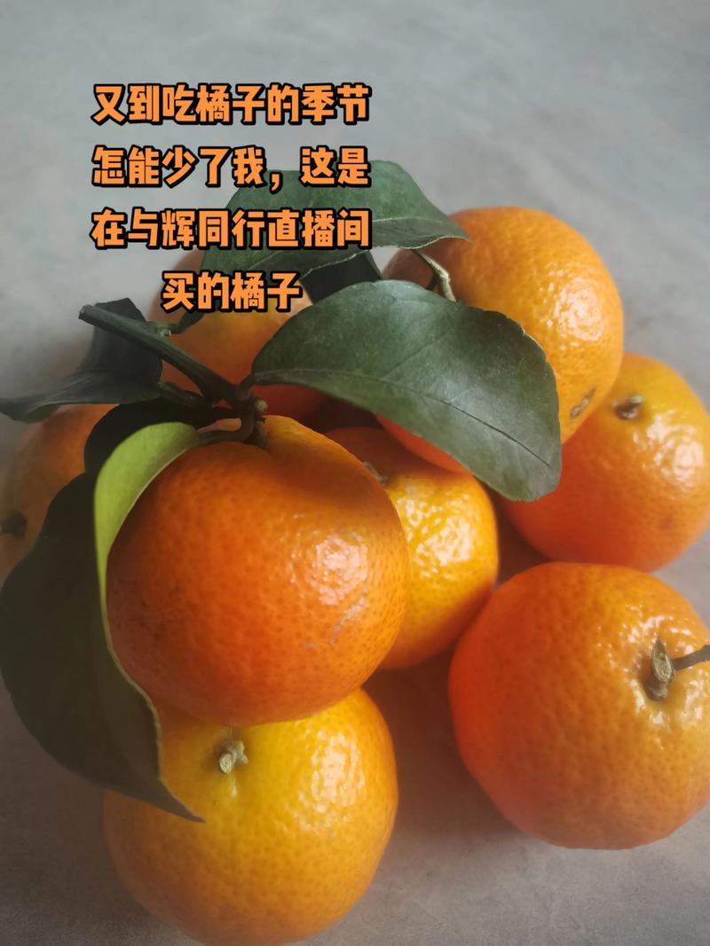 橘子直播安全无毒