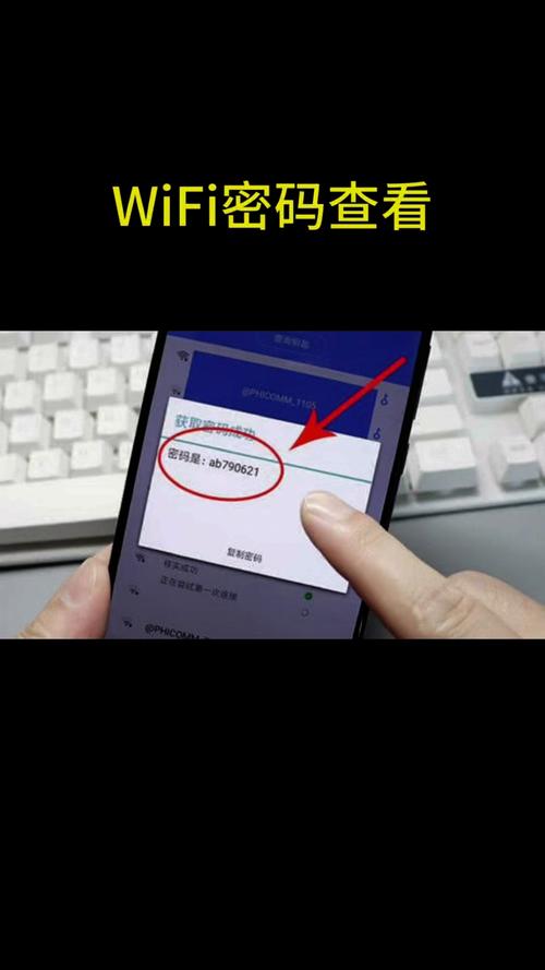 免费连接网络