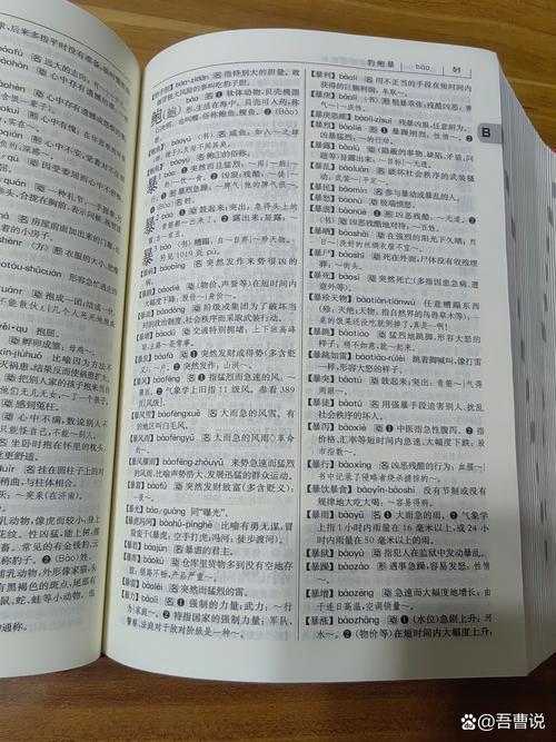 现代汉语词典版本中国版