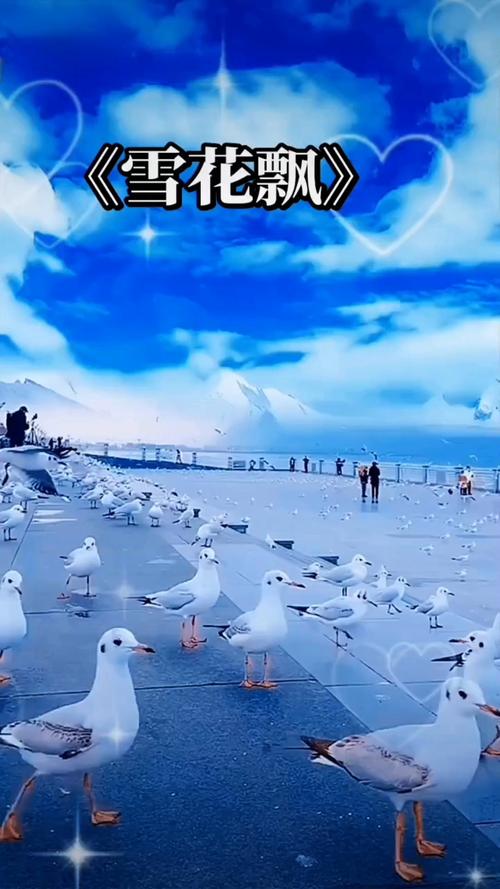 雪花飘影院手机版在线看