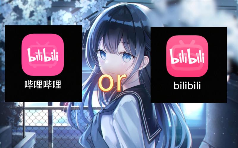 bilibili手机版纯净无广告版无广
