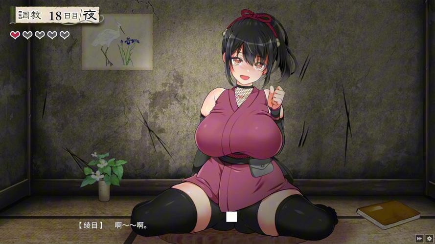 忍堕安卓汉化版安装教程永久不升级