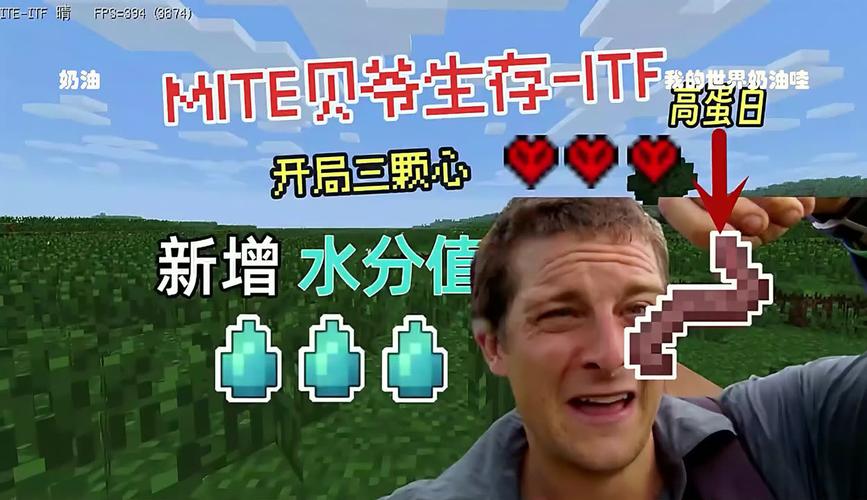 MITE贝爷喝水版生存下载