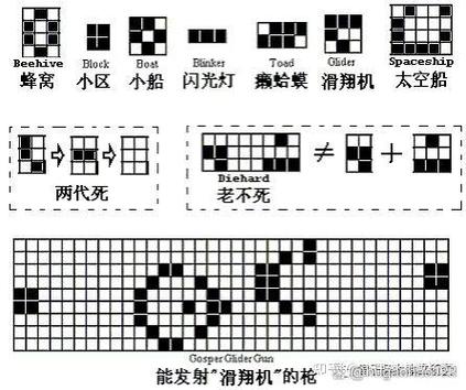 生命游戏无毒版
