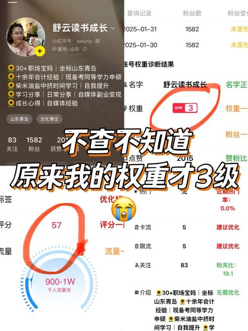 抖音权重查询工具VIP