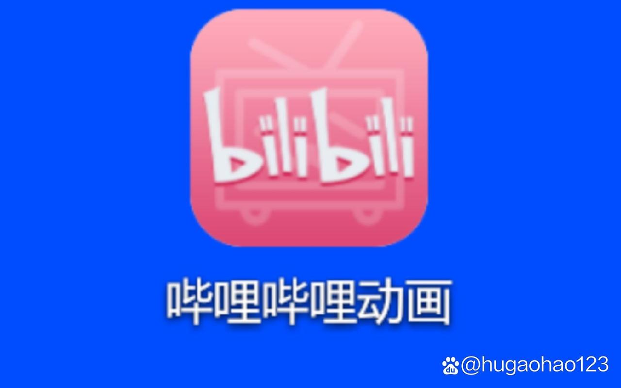 bilibili 老版本破解版无限次数GeoMax