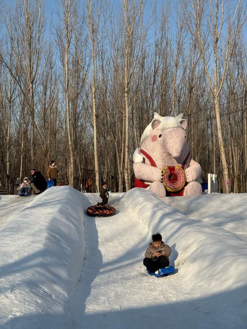 熊熊戏雪乐园