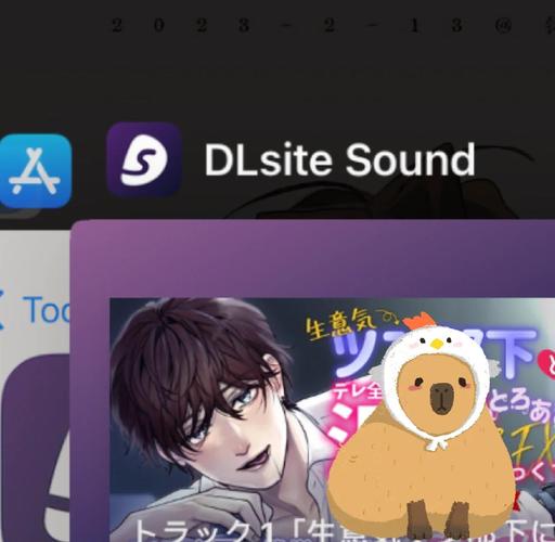 DLSitesound官网方法无限钻石版