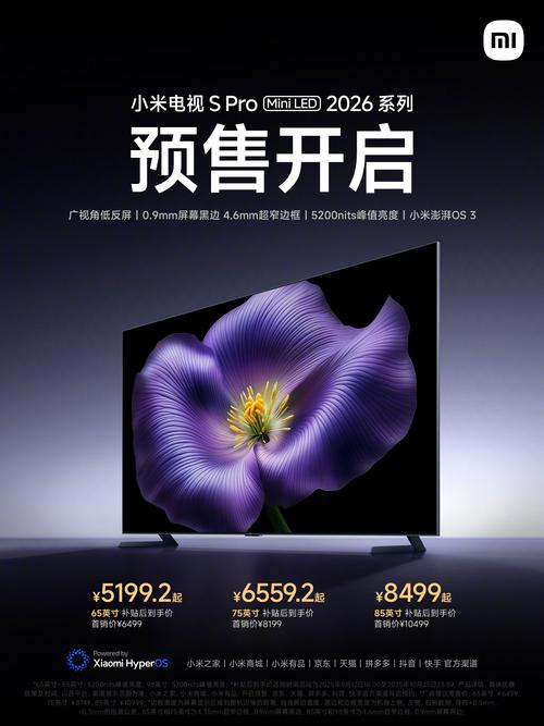 tv版黑桃Tv最新版本更新内容安装免广告