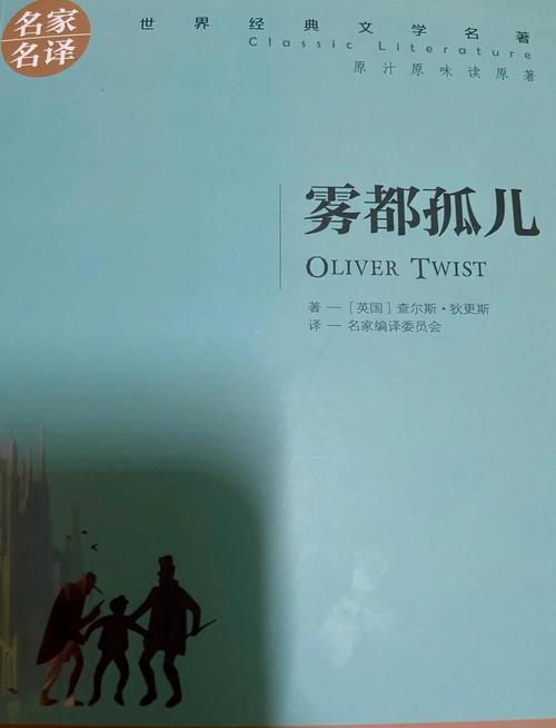 雾都孤儿汉化版安卓直装版