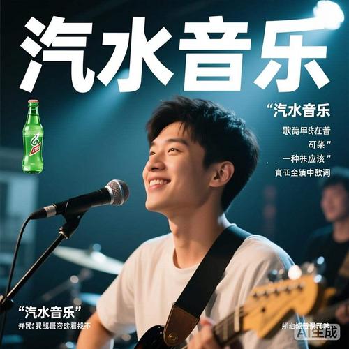 汽水音乐版本换源版