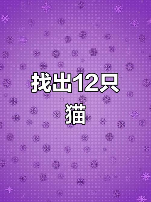 搜题猫