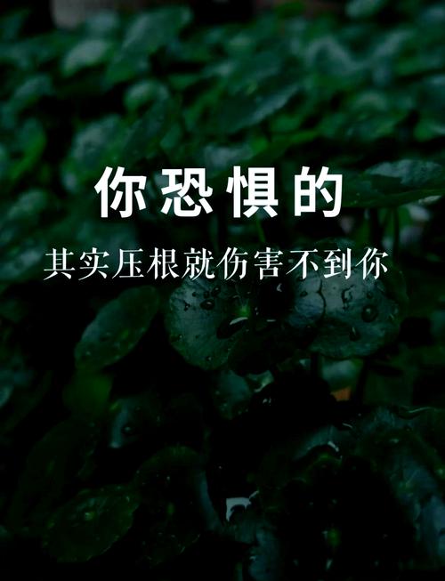 内心恐惧最新tv版