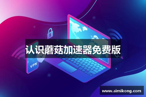 蘑菇加速器官网版蘑菇加速器