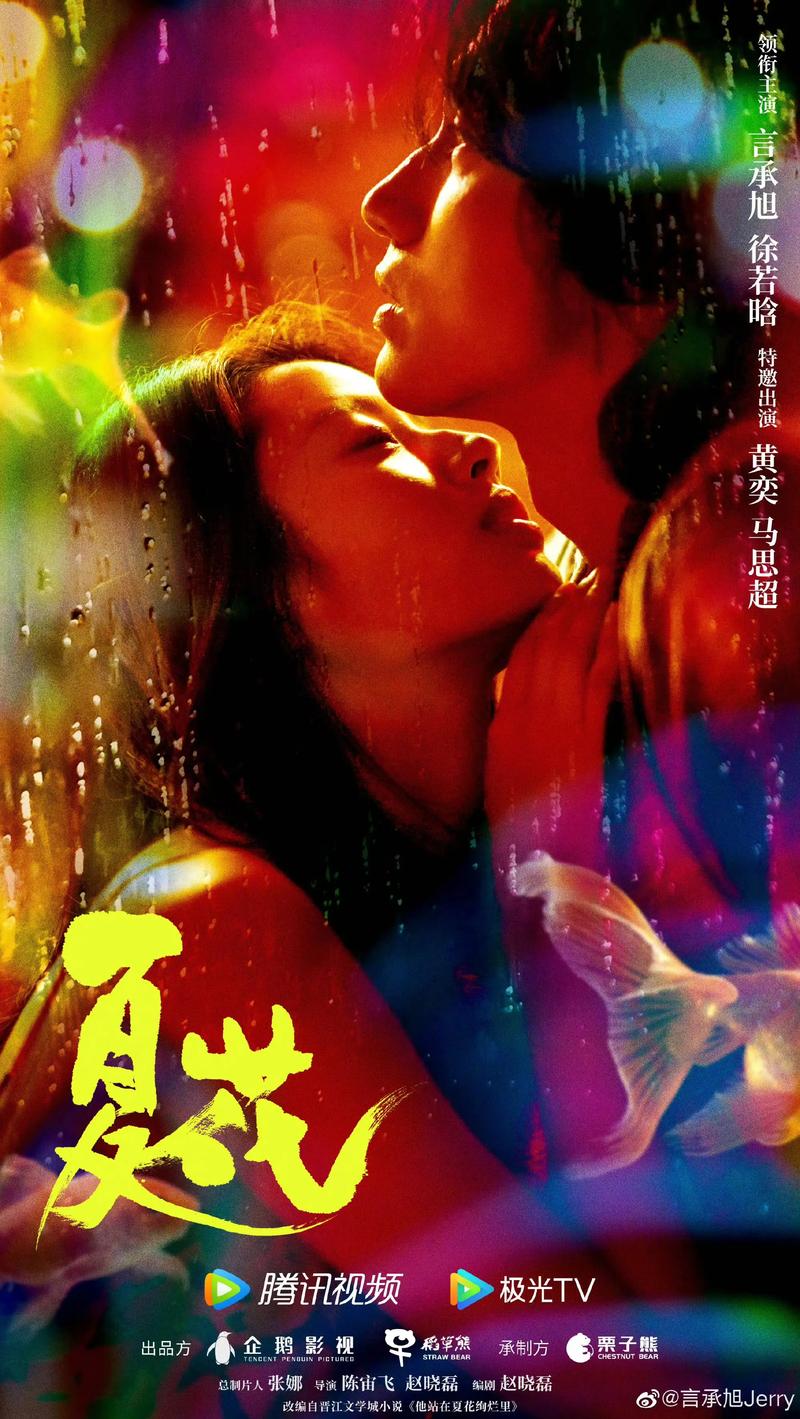6699tv夏花直播最新版下