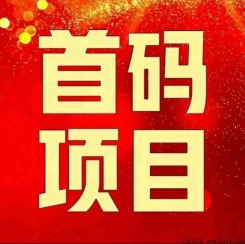 318项目首码网修改版永久VIP