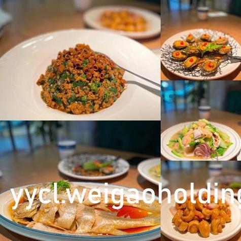 手机迅雷精简版吾爱破解赚红包版