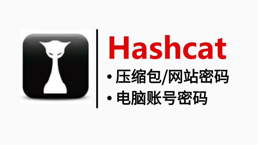 Hashcat官方正版下载贺岁版