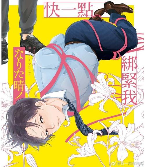 紧缚王子汉化团队