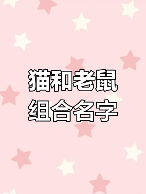 汤姆叔叔tom最新地域网名2021免广告修改版