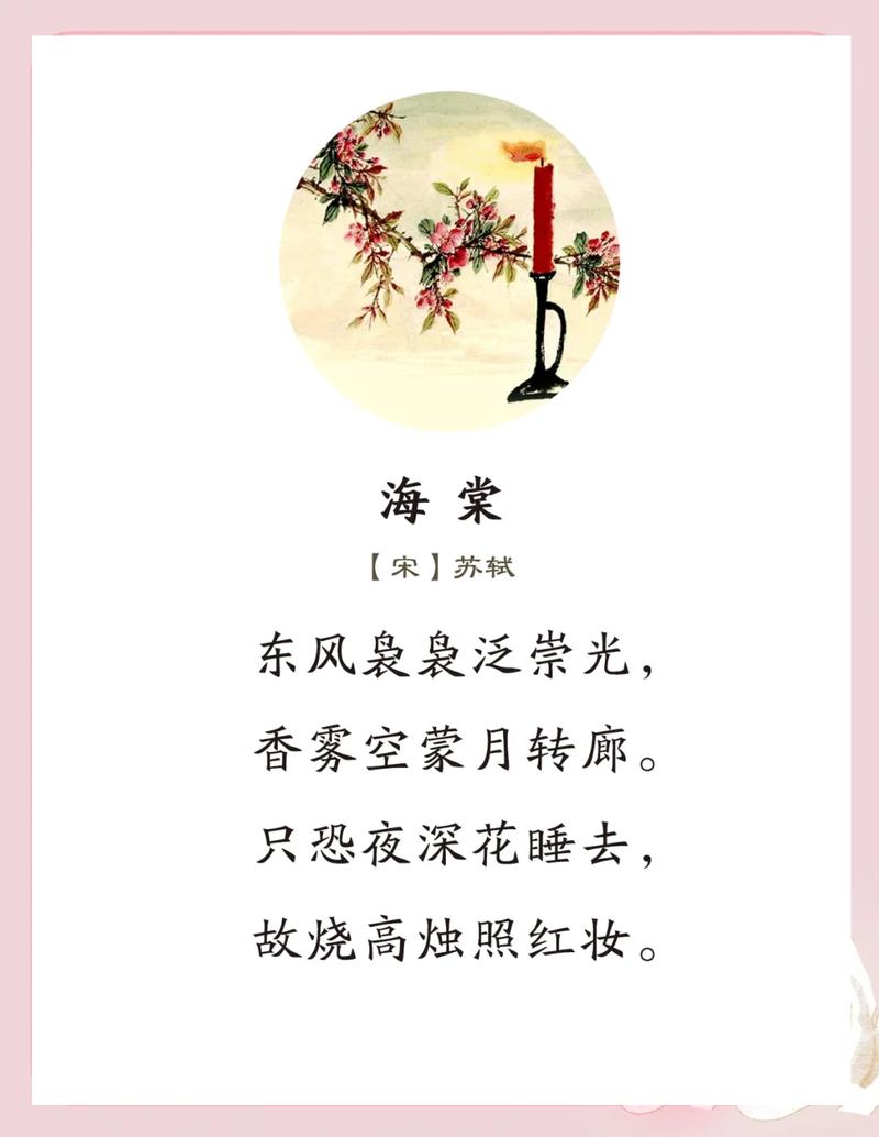 蓝海搜书一个自由阅读海棠贺岁版