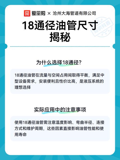 如何在油管上看18 测试版