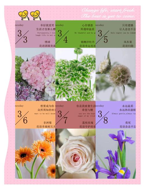 花季(每天免费三次)周年版