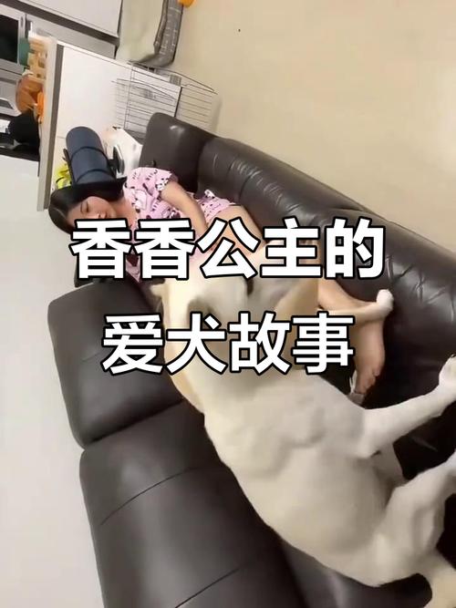 香香公主和爱犬5部开播时间移动版