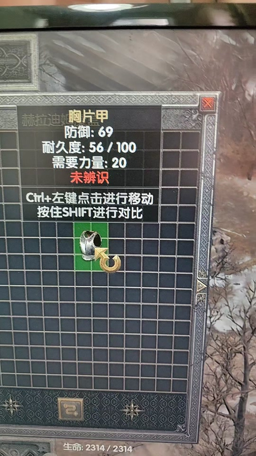 暗黑2重制版ns大箱子追剧版