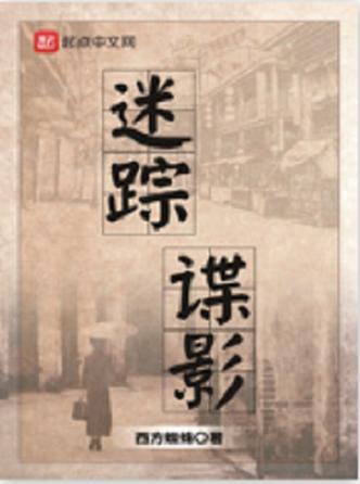 迷踪谍影TXT