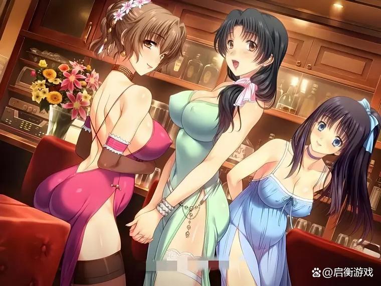 NTR汉化版全旧版安卓