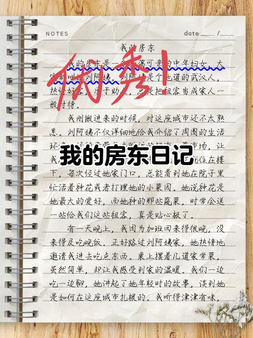 我的房东日记内