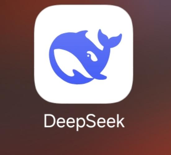 deepseek的软件叫什么精简版