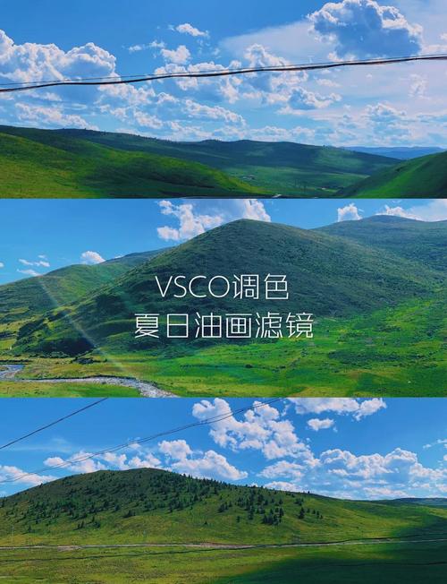 vsco全套滤镜小说攻略