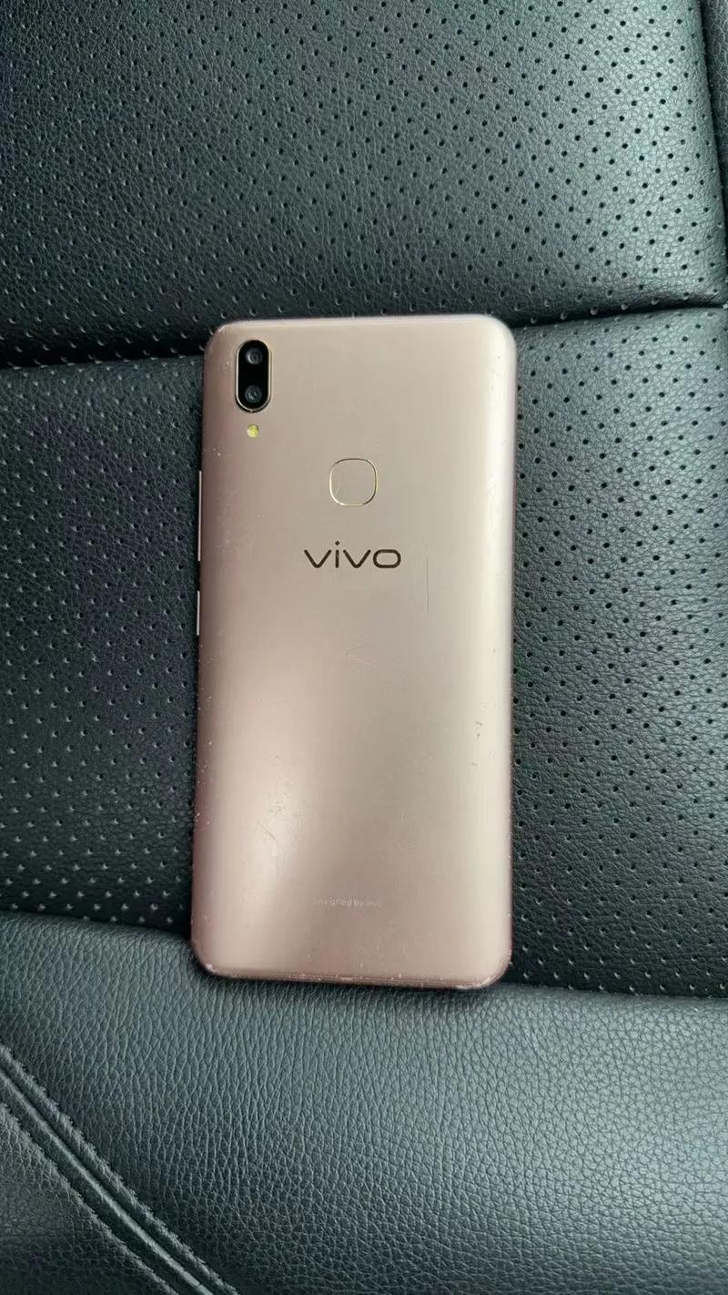 vivo手机照橙色版