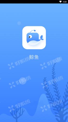 鲸鱼加速官网免